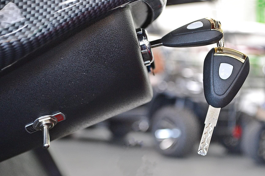 अधिकतम गति 25mph इलेक्ट्रिक गोल्फ कार्ट अनुकूलन योग्य रंग उच्च अंत उन्नयन योग्य